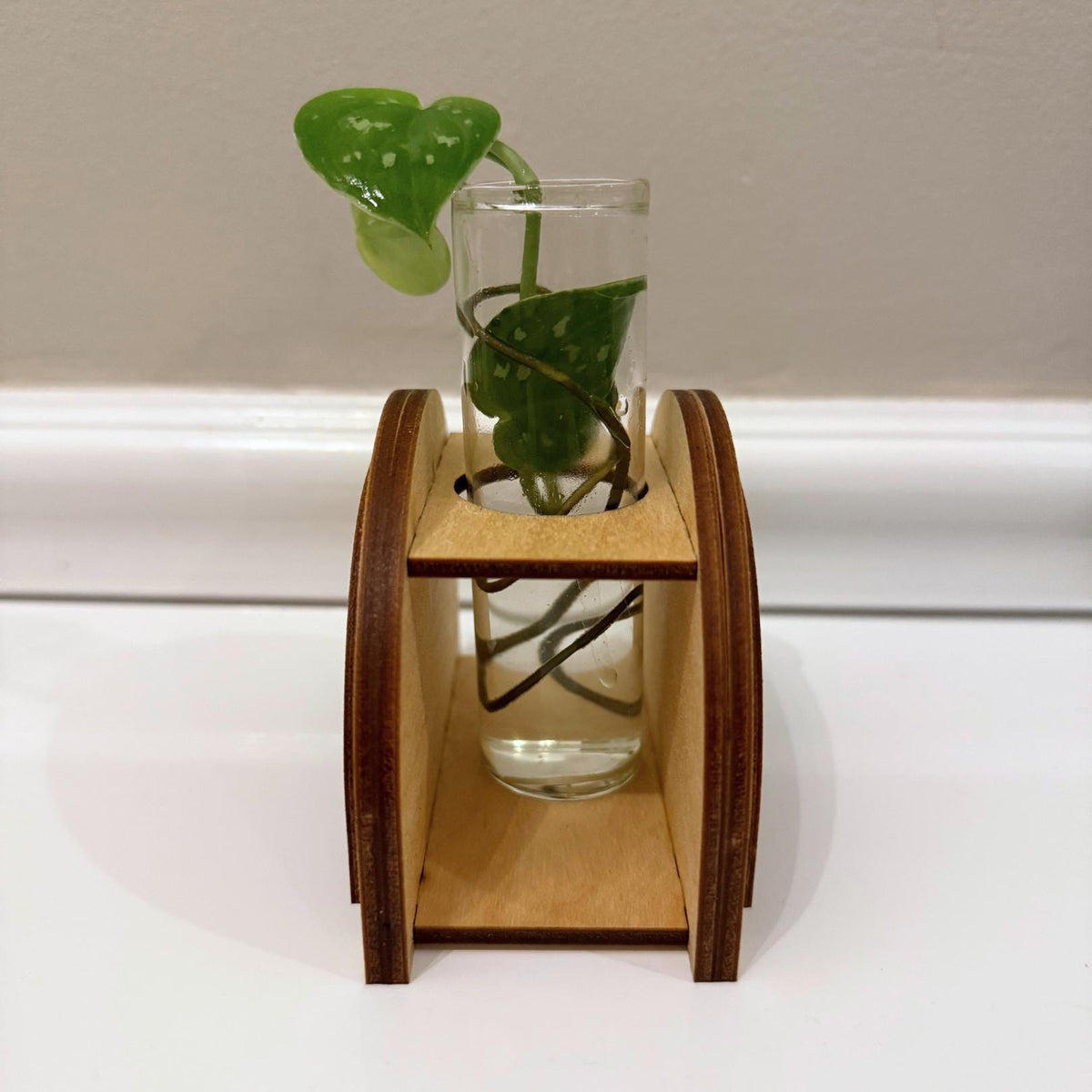 Personalized Wooden Propagation Station